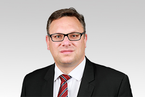 Stephan Schmidt, Abgeordneter für Reinickendorf